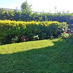 Paguro